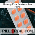 Ginseng For Reinforcing Kidney 26